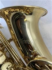 Blessing B-202 Beginner/Student Alto Saxophone w/Hard Case